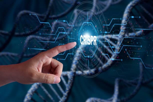 North America CRISPR Technology Market Analysis: Trends, Opportunities, and Forecast