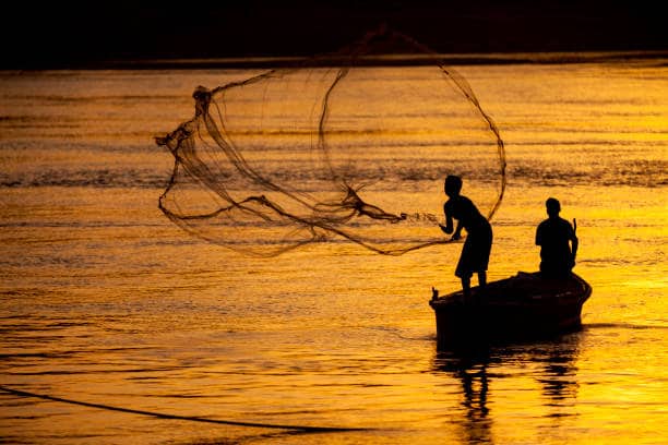 Leisure Boat