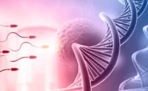 Male Infertility