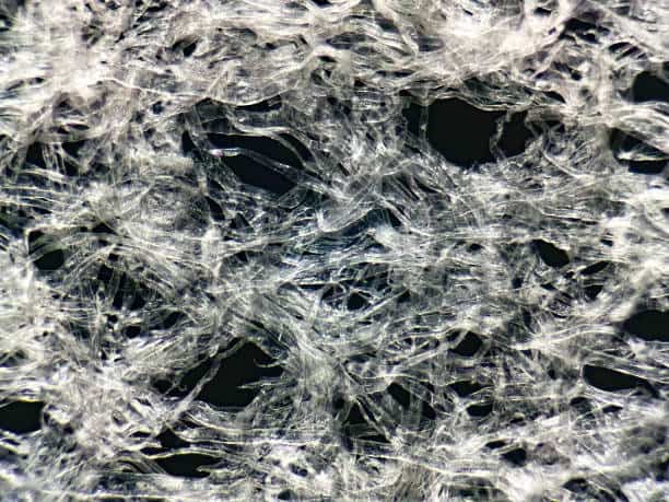 Microfibrillated Cellulose
