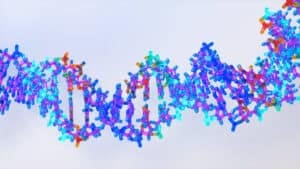 Peptide Therapeutics