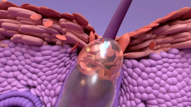 Japan Protein Tyrosine Kinase 7 Market Size, Share, and Demand Forecast (2025-2035)