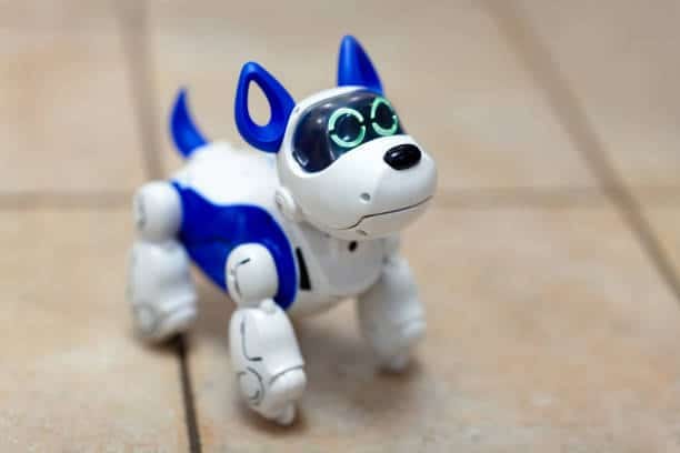 Robot Pet Care