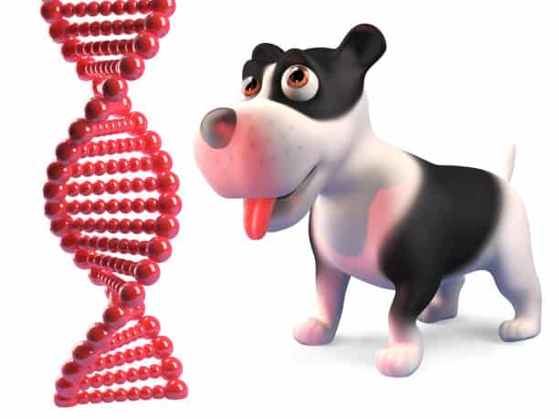 North America Animal Genetic Market Strategies: Competitive Insights for Expansion
