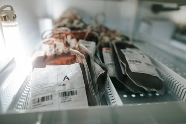 Japan Blood Bank Information Systems Market Pathways: Comprehensive Analysis of Size, Share, and Growth Trends until 2035