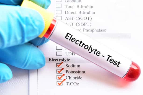 U.S Electrolyte Analysers Market Revealed Horizons: Forecast 2035 Size, Share, and Growth Insights