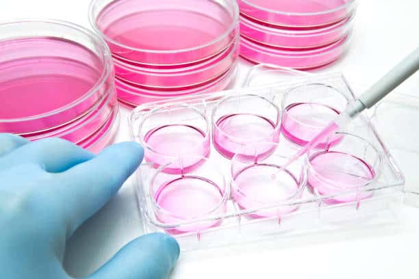 China Cell Culture Market Competitive Landscape: Forecast to 2035