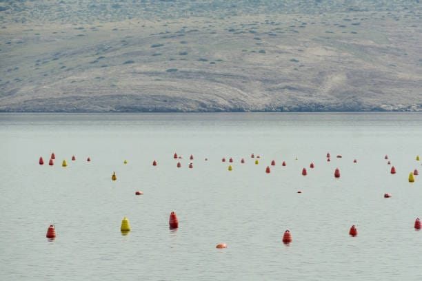 USA Group Flashing Beacon Buoys Market Future Scope: Size, Share, and Growth Projections by 2035