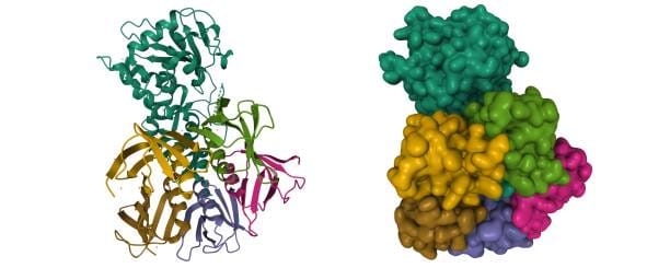 China Recombinant Proteins Market Future Scope: Size, Share, and Growth Projections by 2035