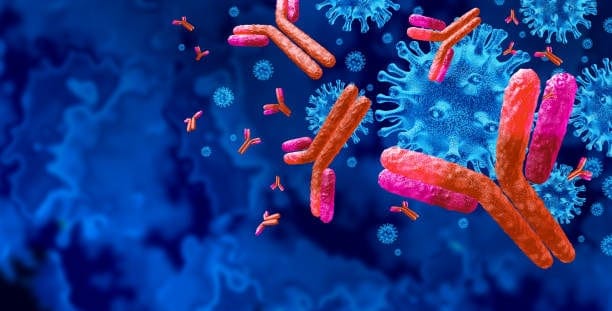 Singapore Antibody Market : Global Key Segments and Revenue Insights (2025-2035)