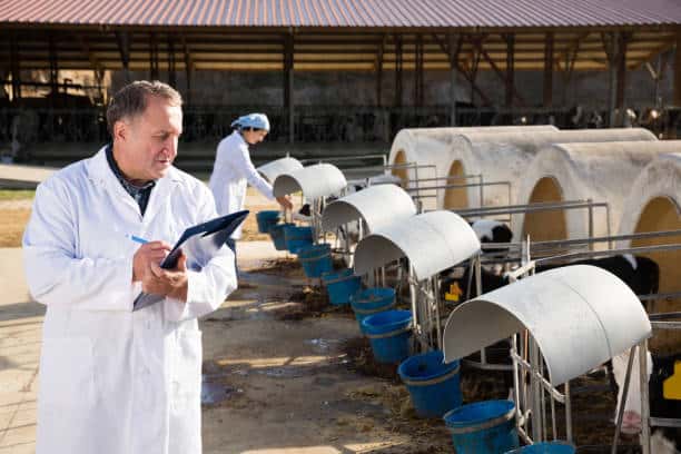 Singapore Feed Mycotoxin Binders Market Innovations: Trends and Strategic Opportunities