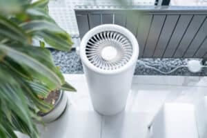istockphoto-2152852526-612x612