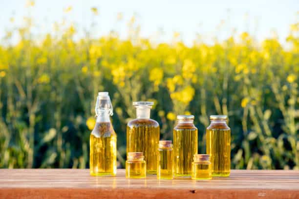 istockphoto-2154974463-612x612