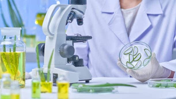 Japan Biologics CDMO Market Momentum: Size, Share, and Growth Dynamics in 2035