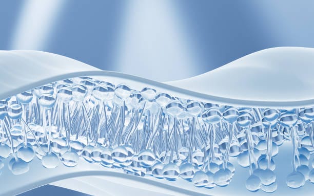 China Microfiltration Membrane Market Innovations: Trends and Strategic Opportunities