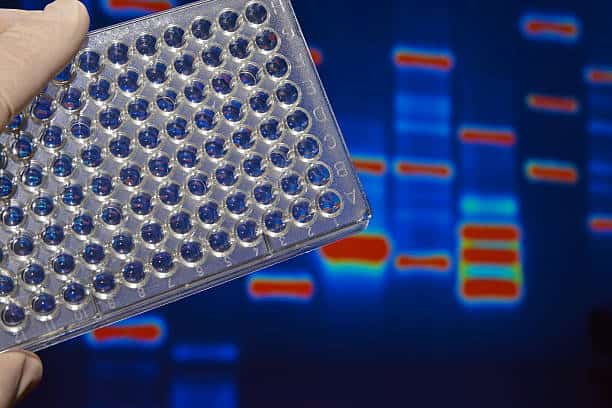 Singapore Genotyping Assay Market Trends: Emerging Innovations and Dynamics