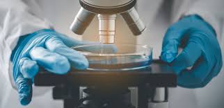 Japan Rapid Microbiology Testing Market Strategies: Competitive Insights for Expansion