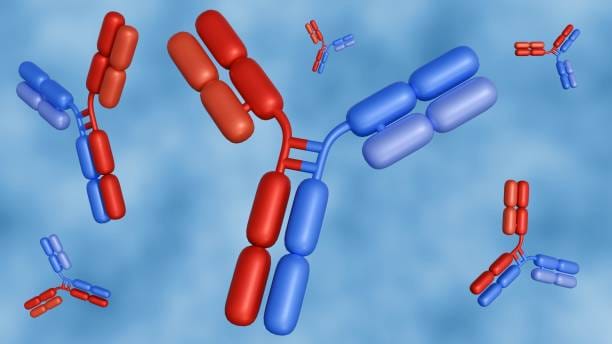Bispecific Antibodies
