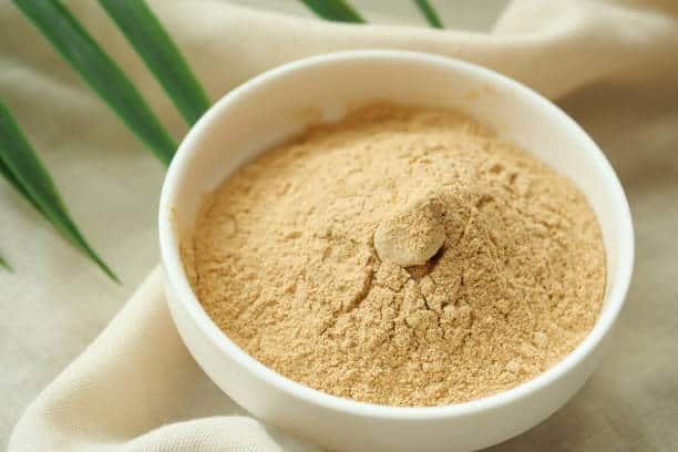 Brewer’s Yeast