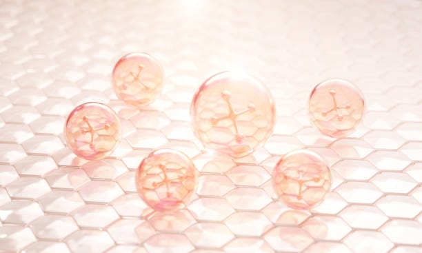 Collagen