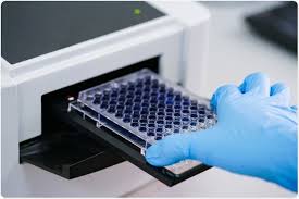 ENZYME