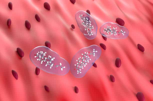 Endotoxemia