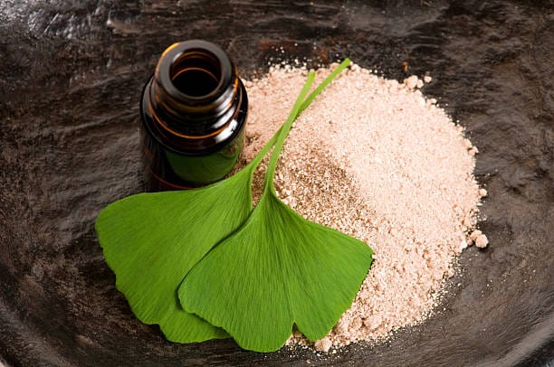 Ginkgo Biloba Extract