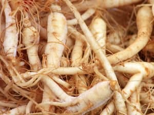 Ginseng Extrac