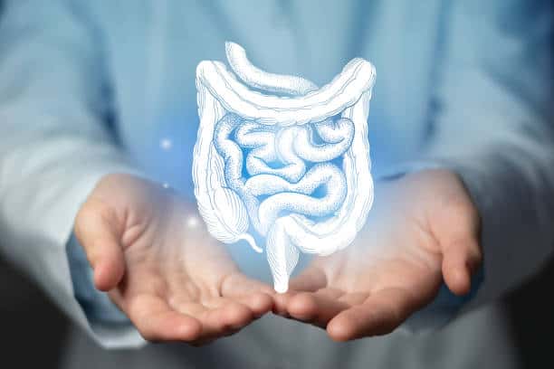 Immune Health Supplements