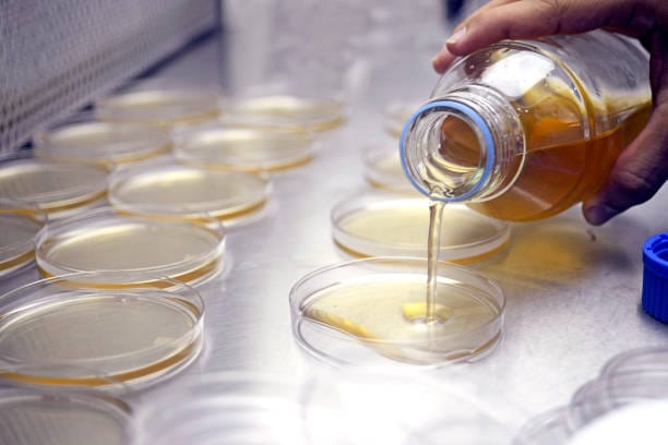 Microbial Fermentation APIS