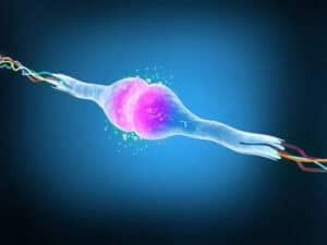 Nerve Repair and ReGeneration