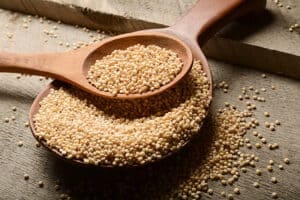 Sweet Sorghum Seed