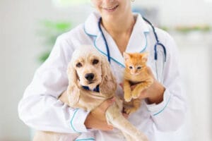 istockphoto-1171733307-612x612