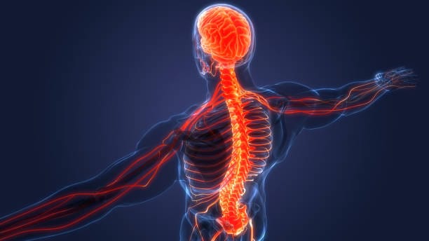 Japan Ischemic Stroke Drugs Market Size, Share, and Demand Forecast (2025-2035)