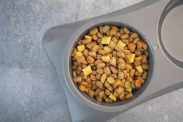 Animal and Pet Nutrition Ingredients