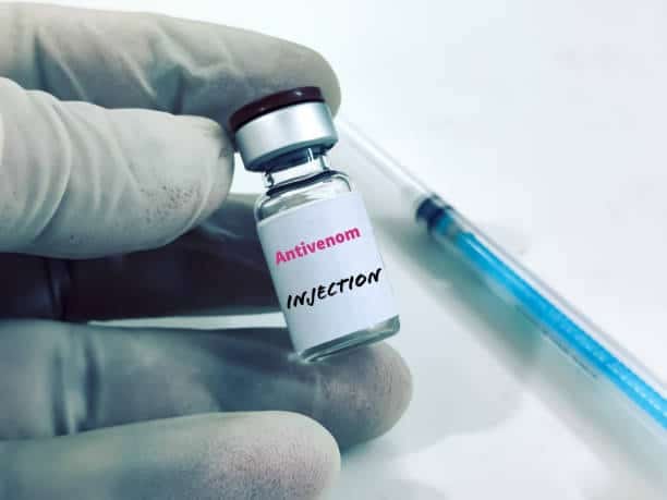 Anti-venom