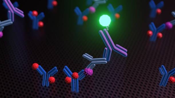 Enzyme Linked Immunosorbent Assay
