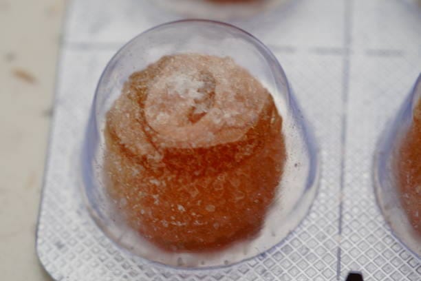 Food Encapsulation