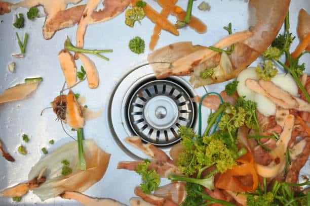 Food Waste Disposers
