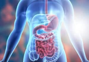 Gut & Digestive Health