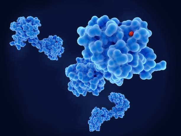 Integrin Beta 8