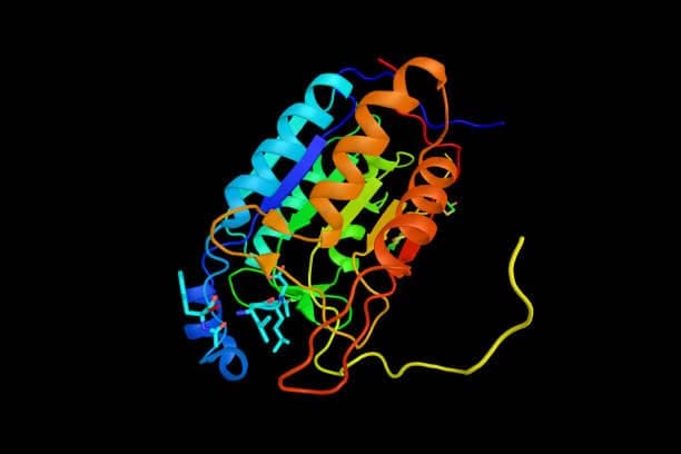 Protein Tyrosine Kinase 7
