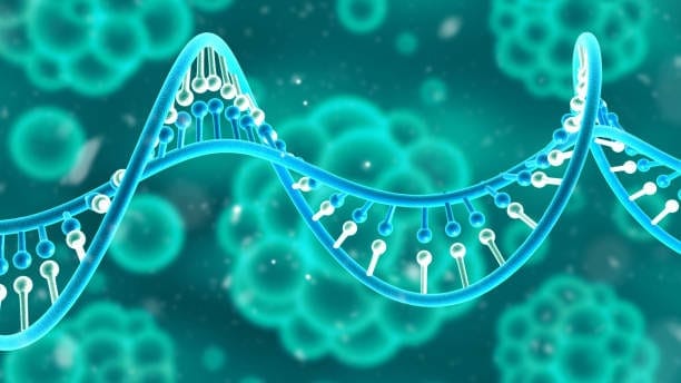 Single-Cell Genome Sequencing