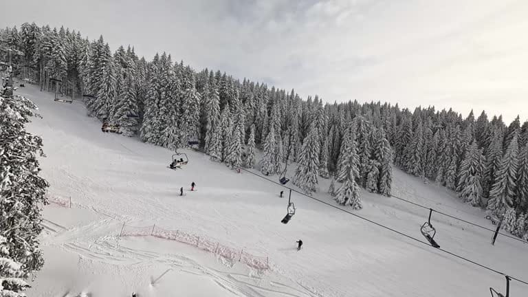 Ski
