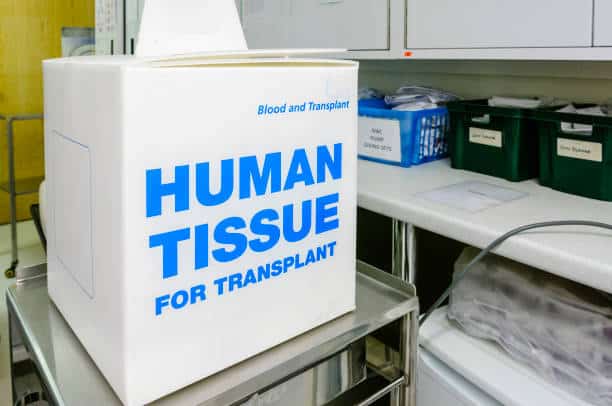 Tissue Transplantation Products and Services