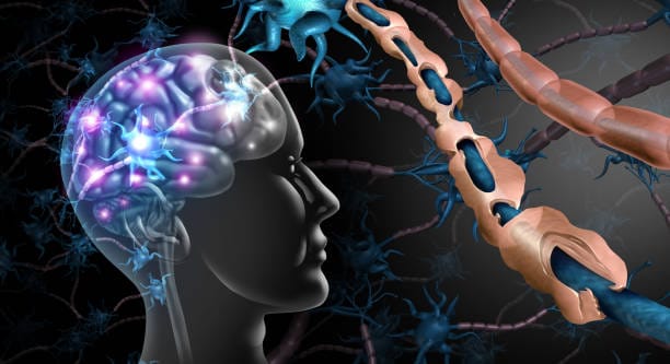 istockphoto-1159330487-612x612