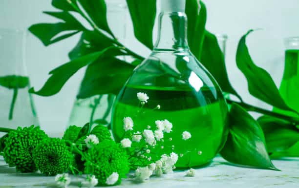 istockphoto-1356031720-612x612