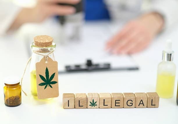 istockphoto-2215981186-612x612