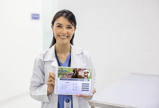 istockphoto-2218833100-612x612