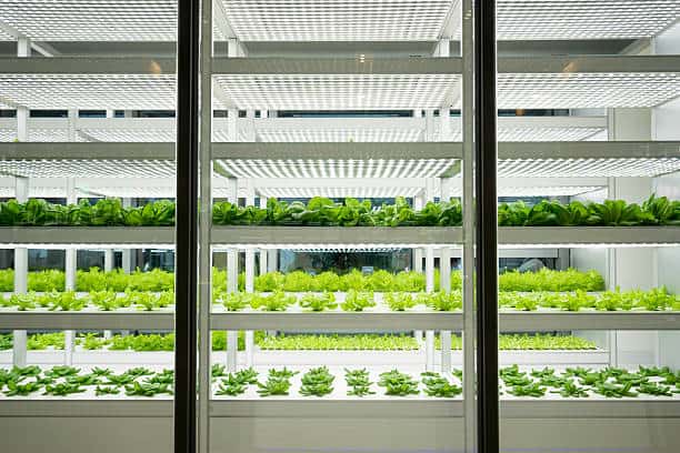 china Indoor Farming Technology Market Sector in Transition: Assessing Risk, Resilience, and Policy Disruption